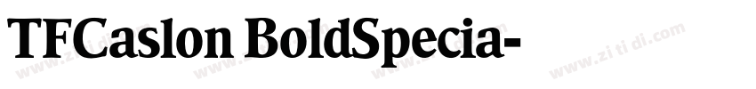 TFCaslon BoldSpecia字体转换
